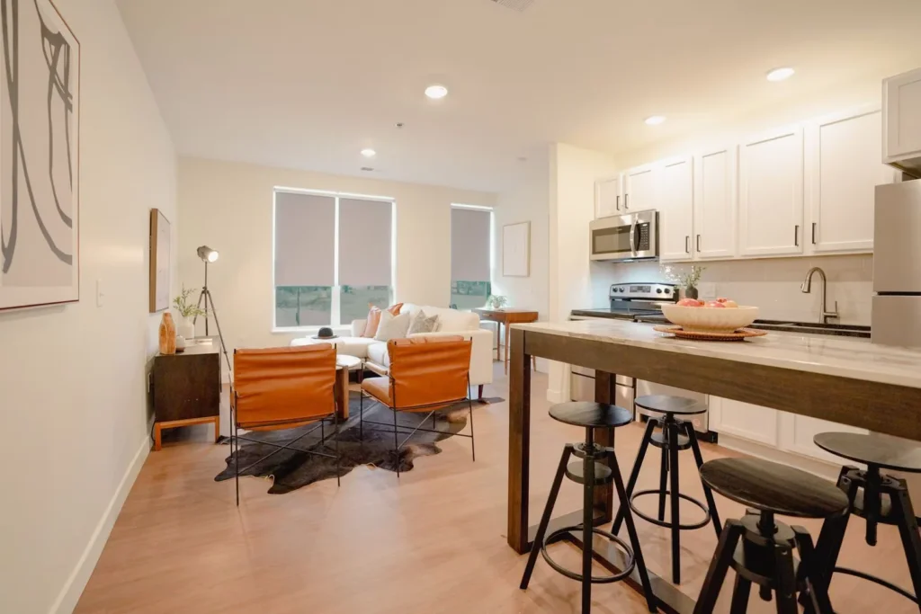 Bronzeville-Apartment-2